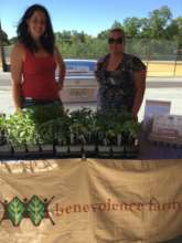 Staff & resident selling at North Park Market