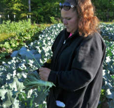 Resident, Missy harvesting broccoli