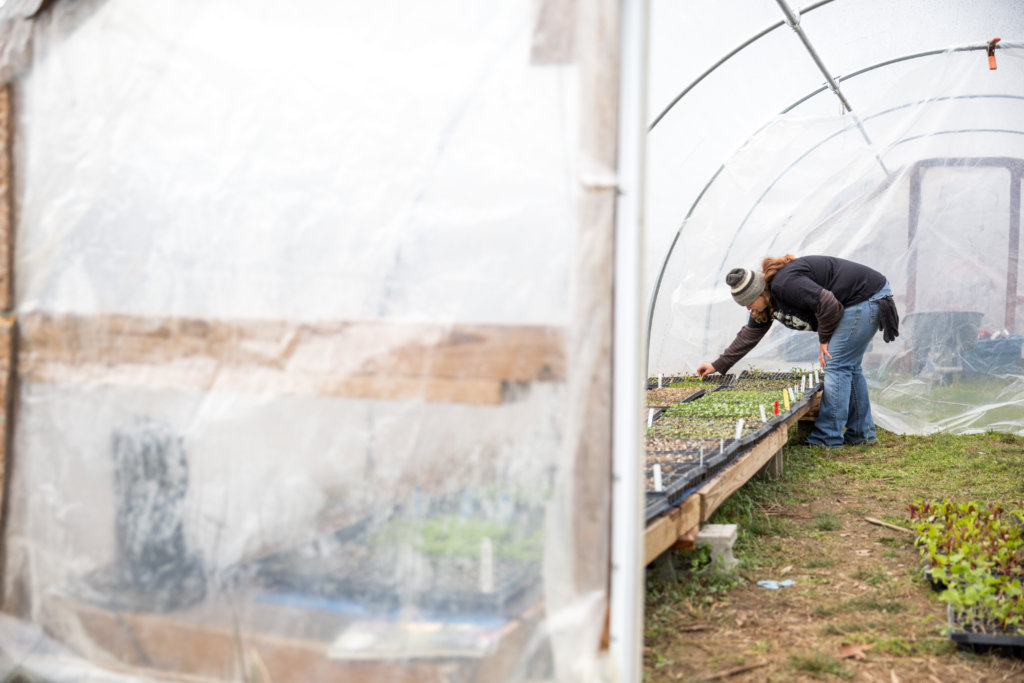 Provide Housing & Jobs for 6 Women Leaving Prison