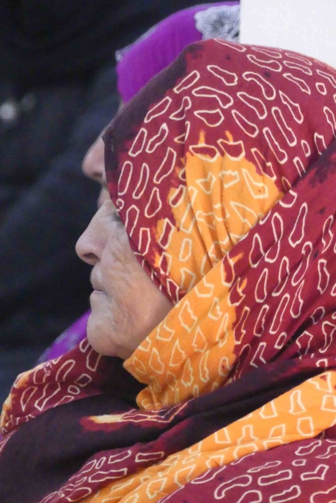 Amazigh woman attending a One Health session