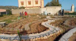 One Health gardens to help build resilience