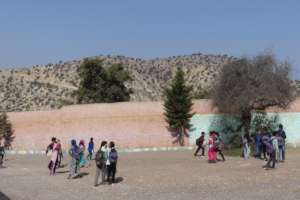 Argan trees are everywhere, even in the school