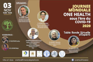 A round table of experts for One Health Day