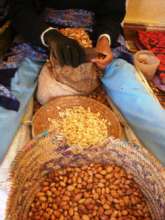 Argan nut processing