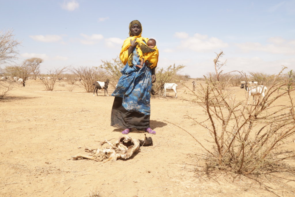 East Africa Food Crisis