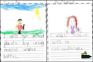 Environmental Education is Effective
