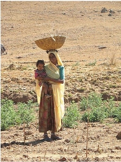 Emergency health care for 50 villages in Udaipur
