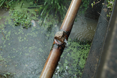 Providing Clean Water for Villagers in Kerala