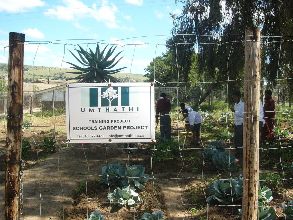Providing 26 Schools with Rainwater Tanks