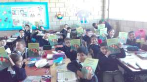 Social and financial education social work books