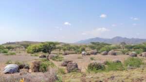 Turkana, Kenya/credit: Giro Boru (Concern 2019)