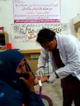 Laboratory investigation