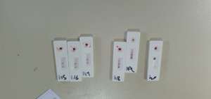 HCV Rapid Testing Kits.