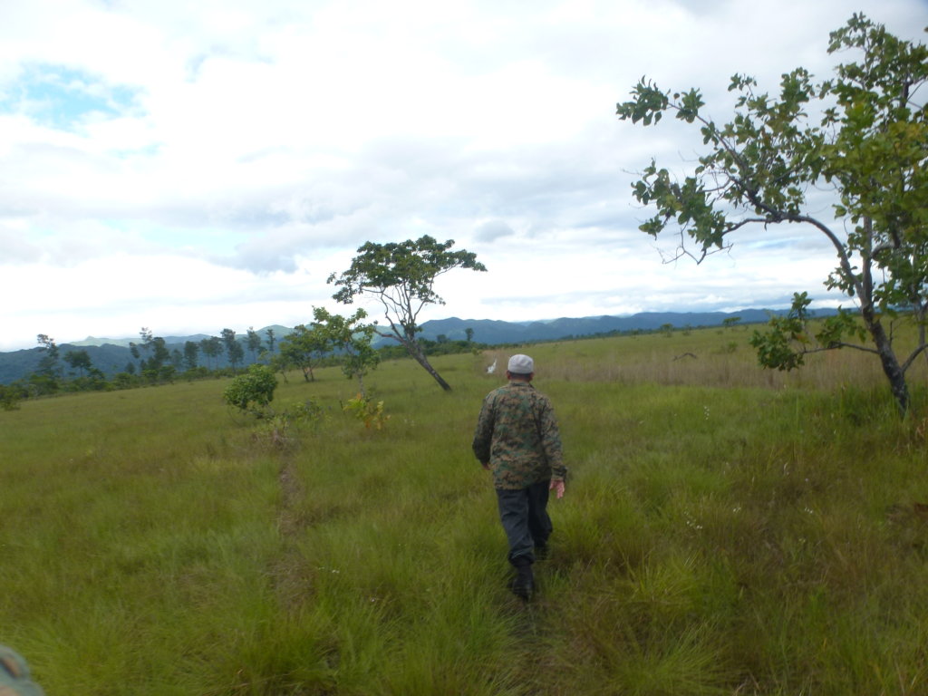 Ranger Challenge Marathon at Chiquibul Belize