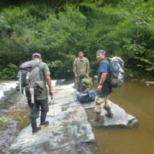 Rangers on patrol
