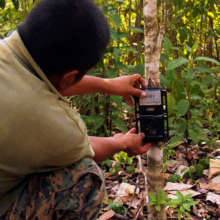 Ranger monitor biodiversity