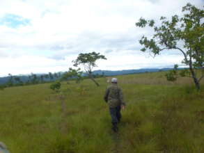 Ranger hiking into Bladen Nature Reserve