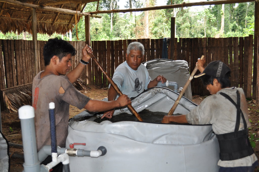 Clean Water and Sanitation -Rainforest of Peru