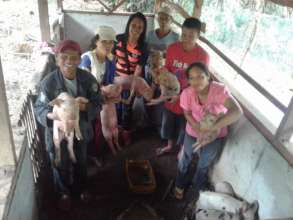 Providing Upgraded Piglets for Poor Families
