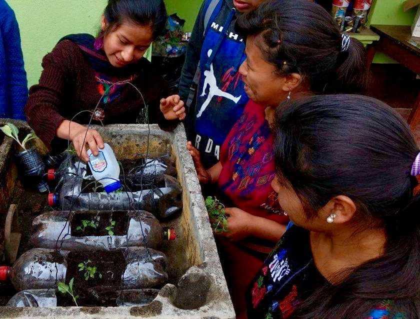 Girl Gardens Grow Scholars