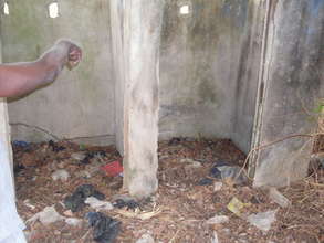 View of the existing toilet