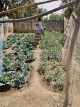 Garden of the nursery school of Fina