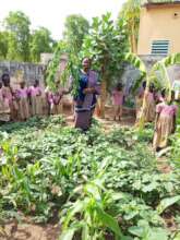 Other picture of the garden