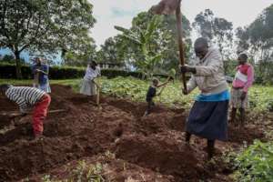 Bio-intensive agriculture training