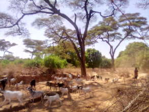 Dry and arid lands just north of Kitale