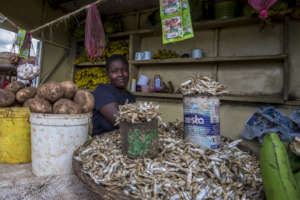 Selling omena, dried fish