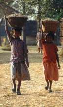 Children laboring in the fields