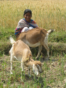 Rescue Girls from Bonded Servitude