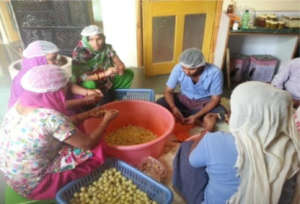 Sukarya Self Help Groups