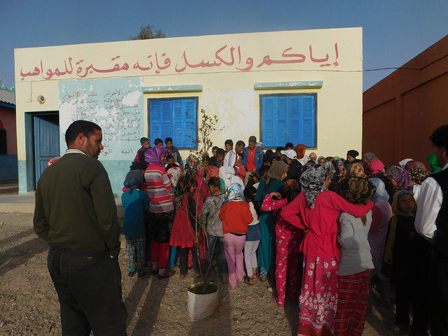 Argan Nursery and Forest in Essaouira, Morocco