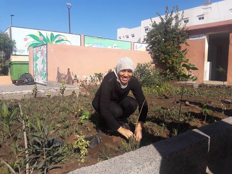 Argan Nursery and Forest in Essaouira, Morocco