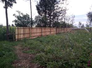 Third side of the fence.