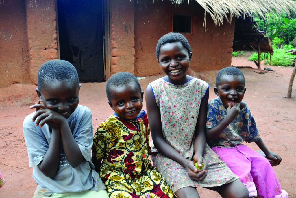 Solar Fridge for Animal Vaccines in Congo