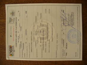 Birth certificate