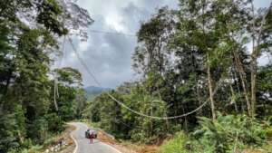 Building the canopy bridge