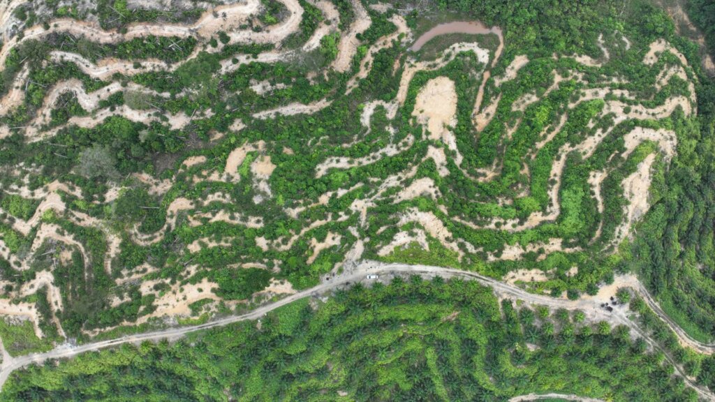 Deforested and degraded landscape in Sumatra.