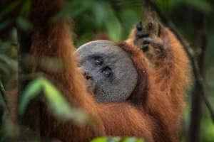 Photo credit: Andrew Walmsley.