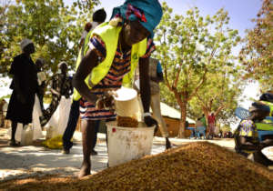 Food Distribution