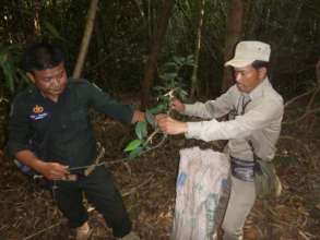 Rangers find and dissemble a snare