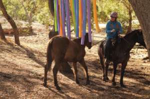 Lumpy navigates the obstacle course