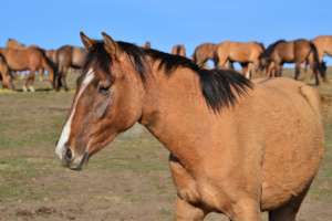 Thank you for helping me