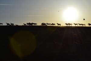 The day comes to an end...