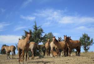 Hey, we have company!