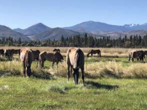 Living the good life...