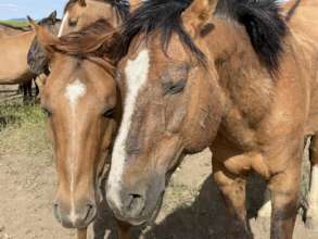 Thor and his friend soon to be reunited