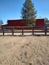 Repaired fence is sturdy and safe once more